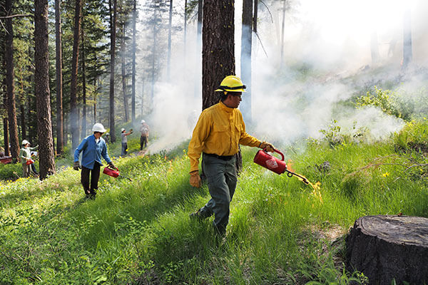 Washington-Prescribed-Burn_Cascadia-Learn-&-Burn