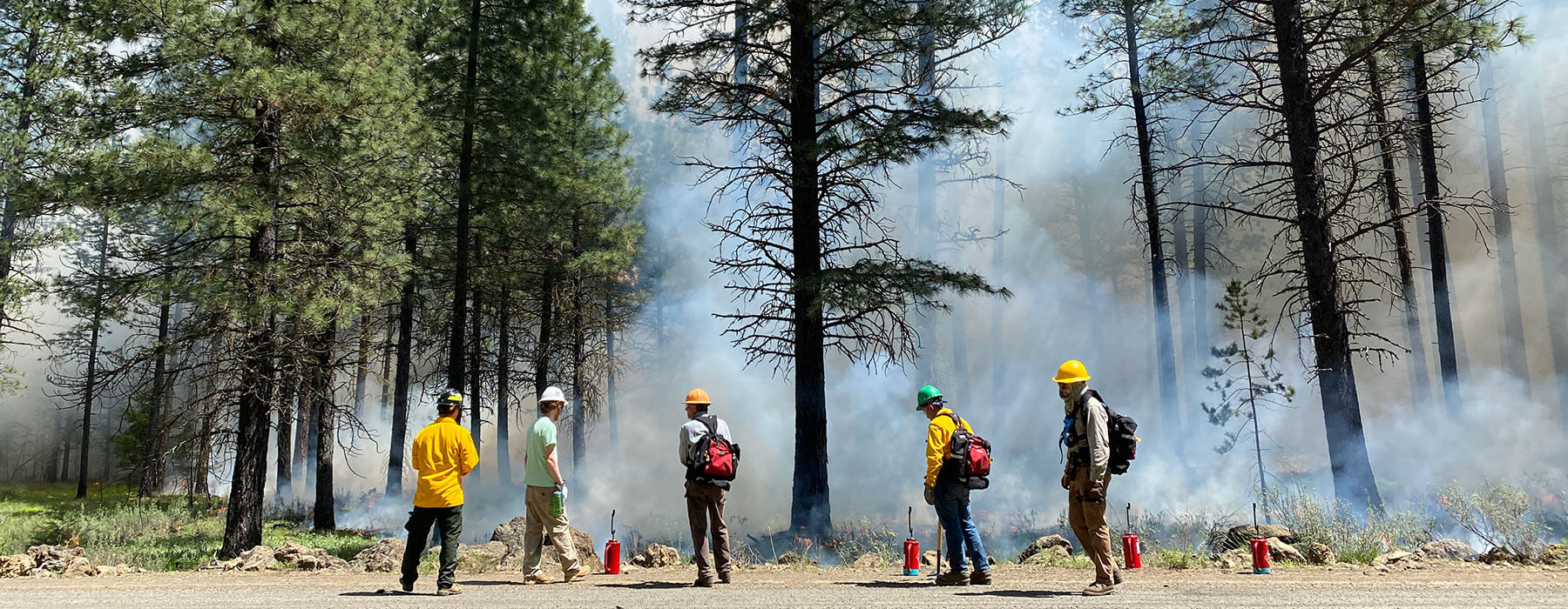 Washington-Prescribed-Burn_WA-PBAs_hero