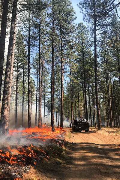 Washington-Prescribed-Burn_why-fire-prescribed-burn